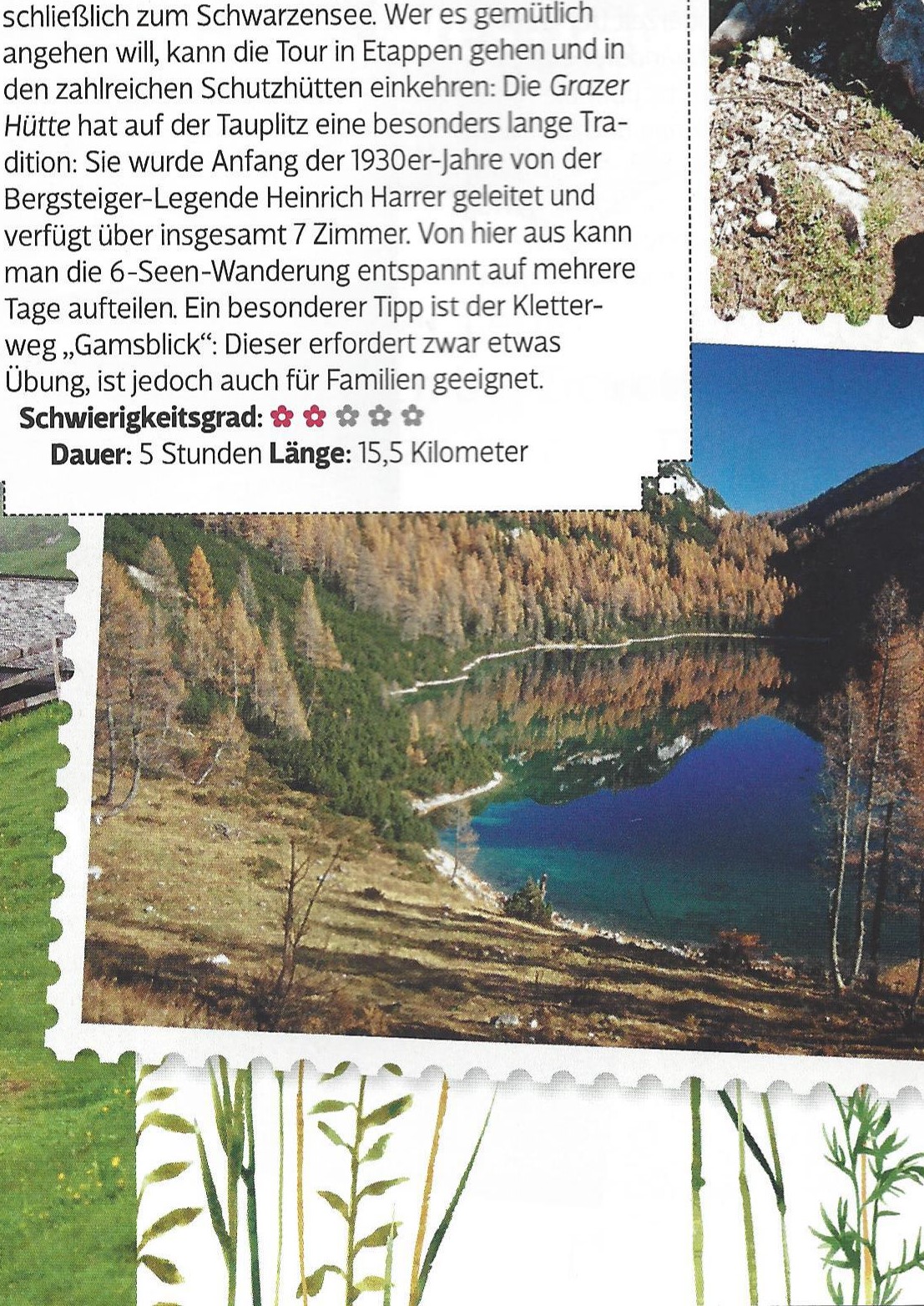 Woman Dirdl Herbst 2015